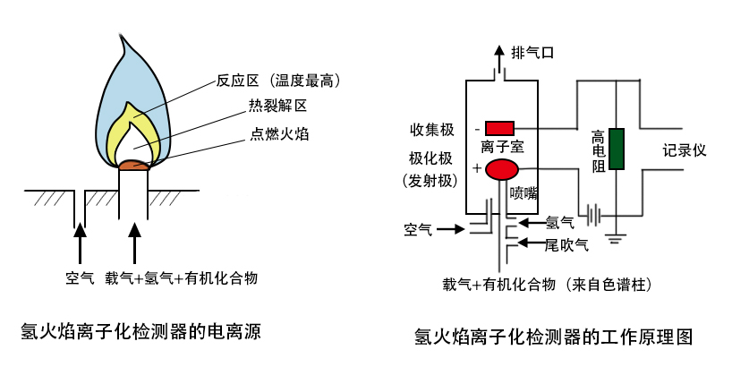 FID检测原理