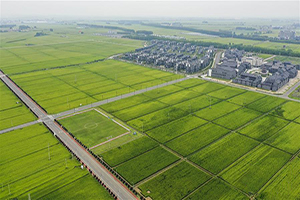 农业环境监测解决方案