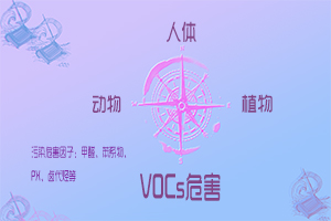 VOCs 环境空气中VOCs的影响及危害 VOCs 环境空气中VOCs的影响及危害