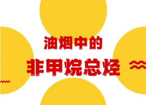 餐饮油烟中的非甲烷总烃