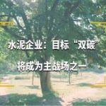 目标双碳 水泥企业将成为新的主战场之一 目标双碳 水泥企业将成为新的主战场之一