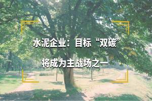 目标双碳 水泥企业将成为新的主战场之一