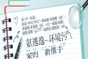 氨逃逸——环境污染的“新推手”