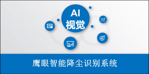 鹰眼智能降尘识别系统