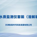 手持式水质监测仪套装（溶解氧+pH)