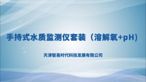 手持式水质监测仪套装（溶解氧+pH)
