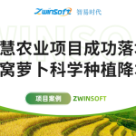 智易时代智慧农业项目成功落地，助力沙窝萝卜科学种植降本增效！