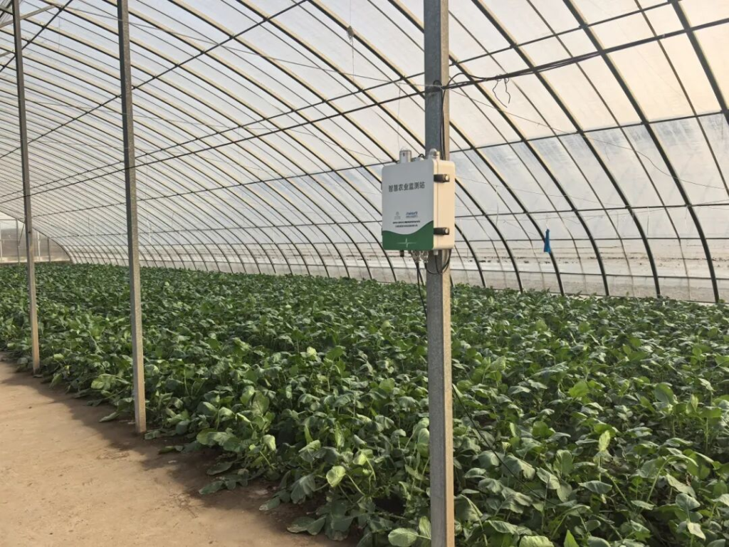 温室大棚远程智能环控监测项目案例