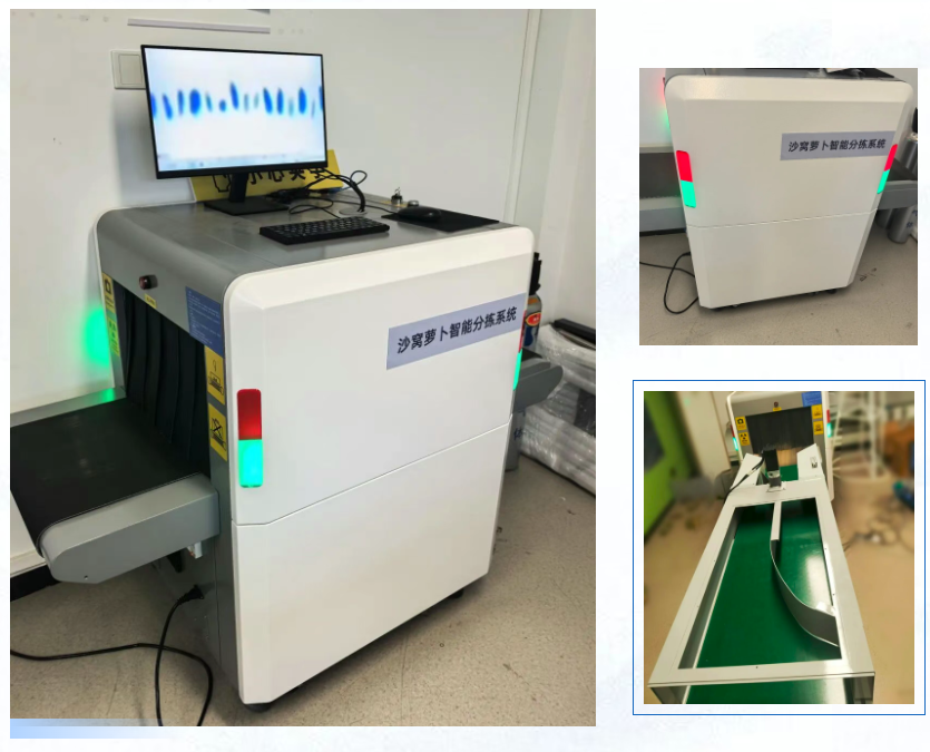 智易时代沙窝萝卜智能分拣系统