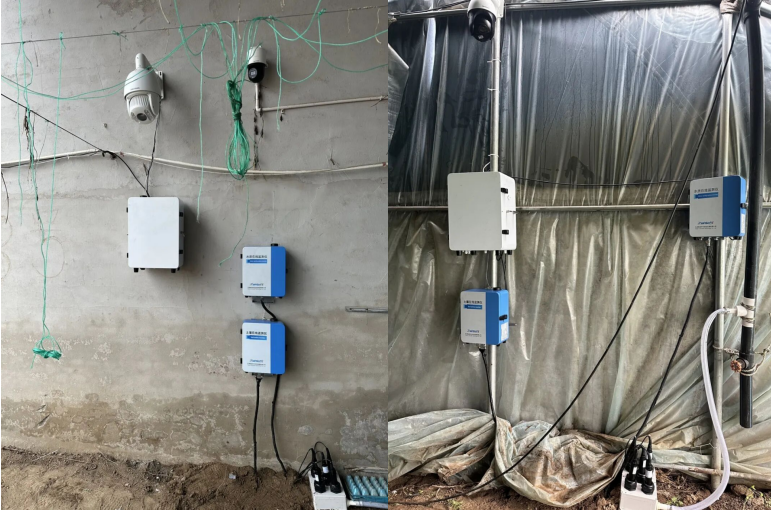 智慧农业监测案例