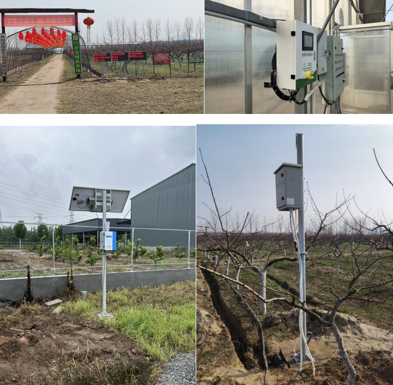 智慧农业项目案例